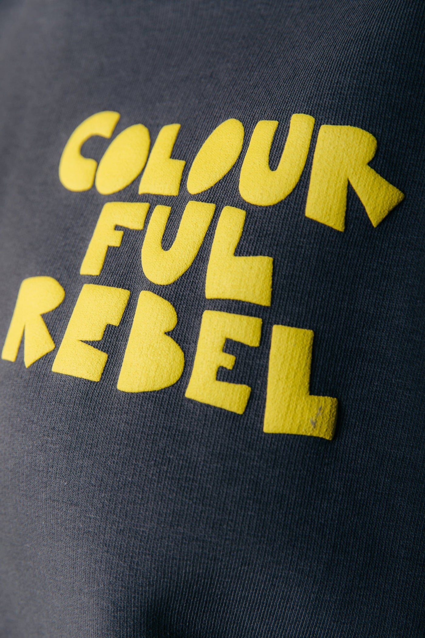 Colourful Rebel Logo Hoodie | Anthracite 