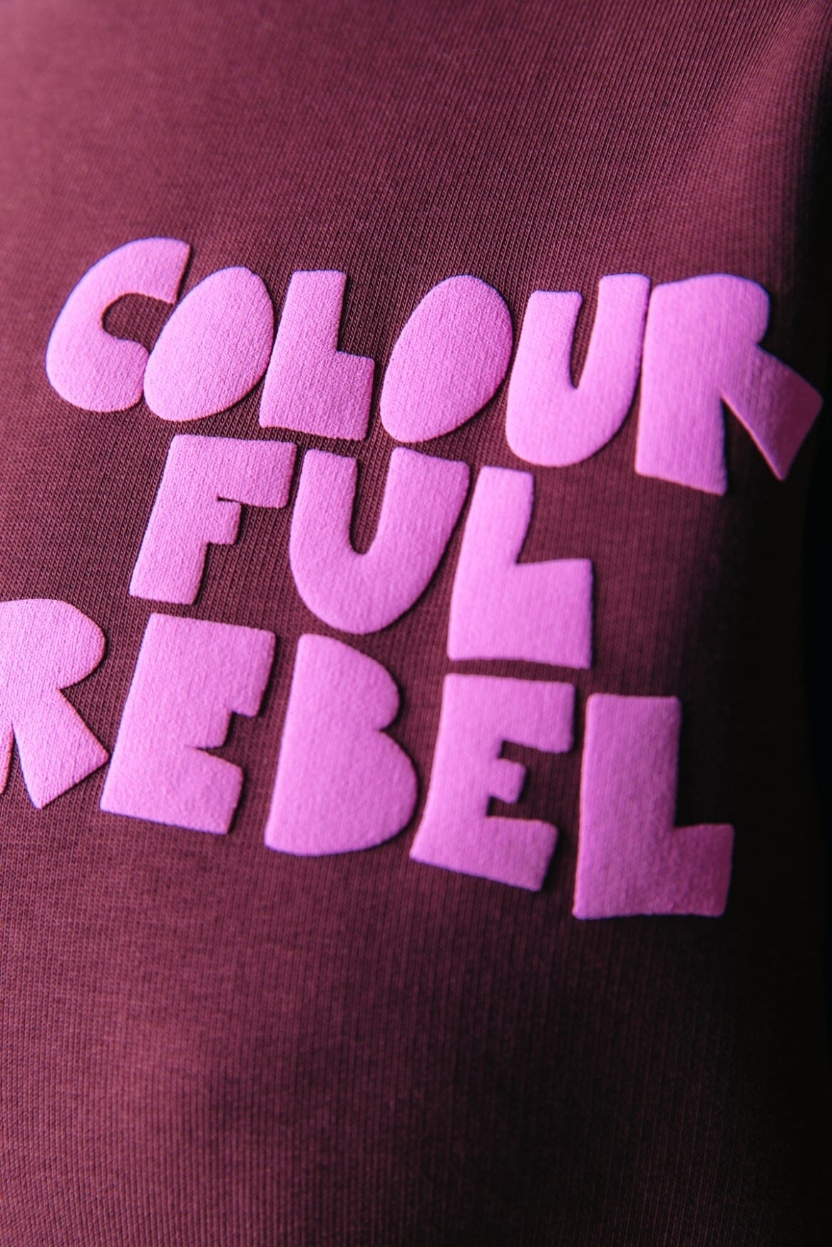 Colourful Rebel Logo Wave Puff Relaxed Sweat | Port Red 