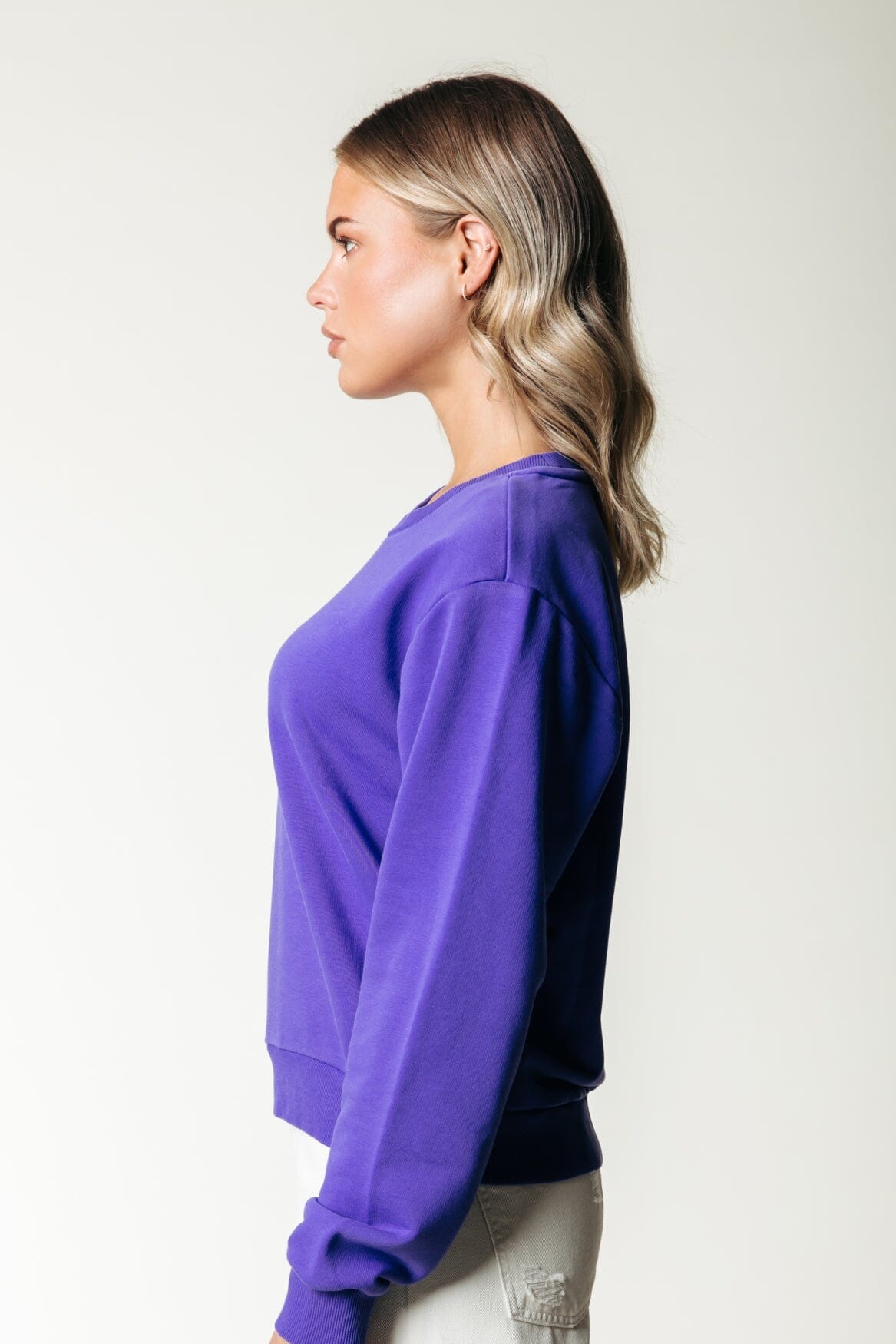 Colourful Rebel Logo wave Relaxed Sweat | Liberty Purple 