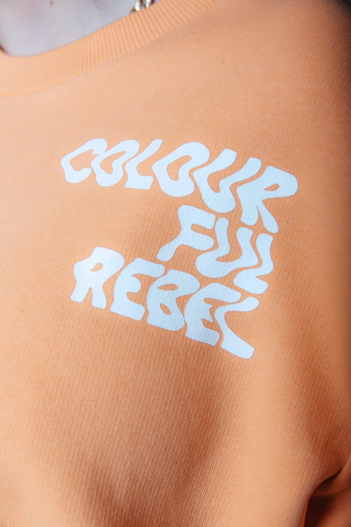 Colourful Rebel Logo Wave Relaxed Sweat | Tangerine 