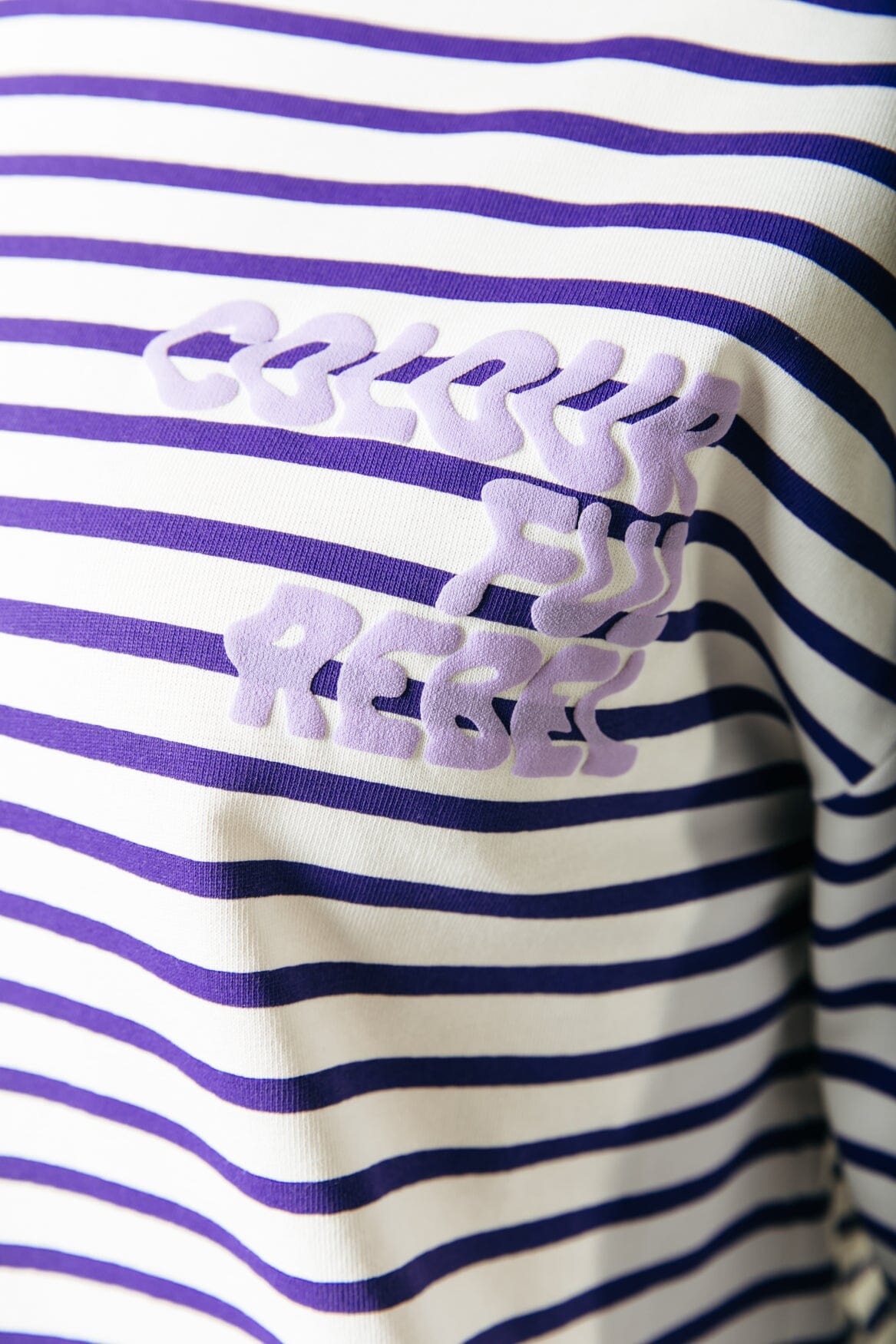 Colourful Rebel Logo Wave Stripe Longsleeve Tee | Liberty Purple 