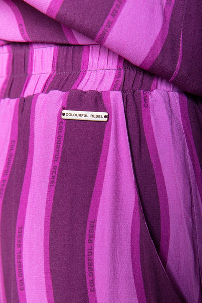 Colourful Rebel Melody Stripes Straight Pants | Purple 