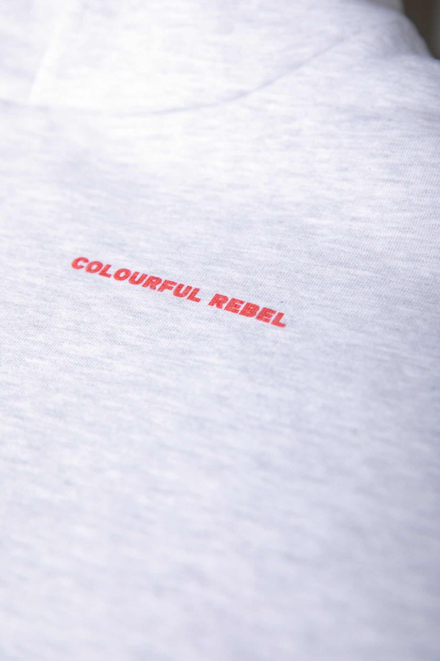 Colourful Rebel National Champs Hoodie | Light grey melange 