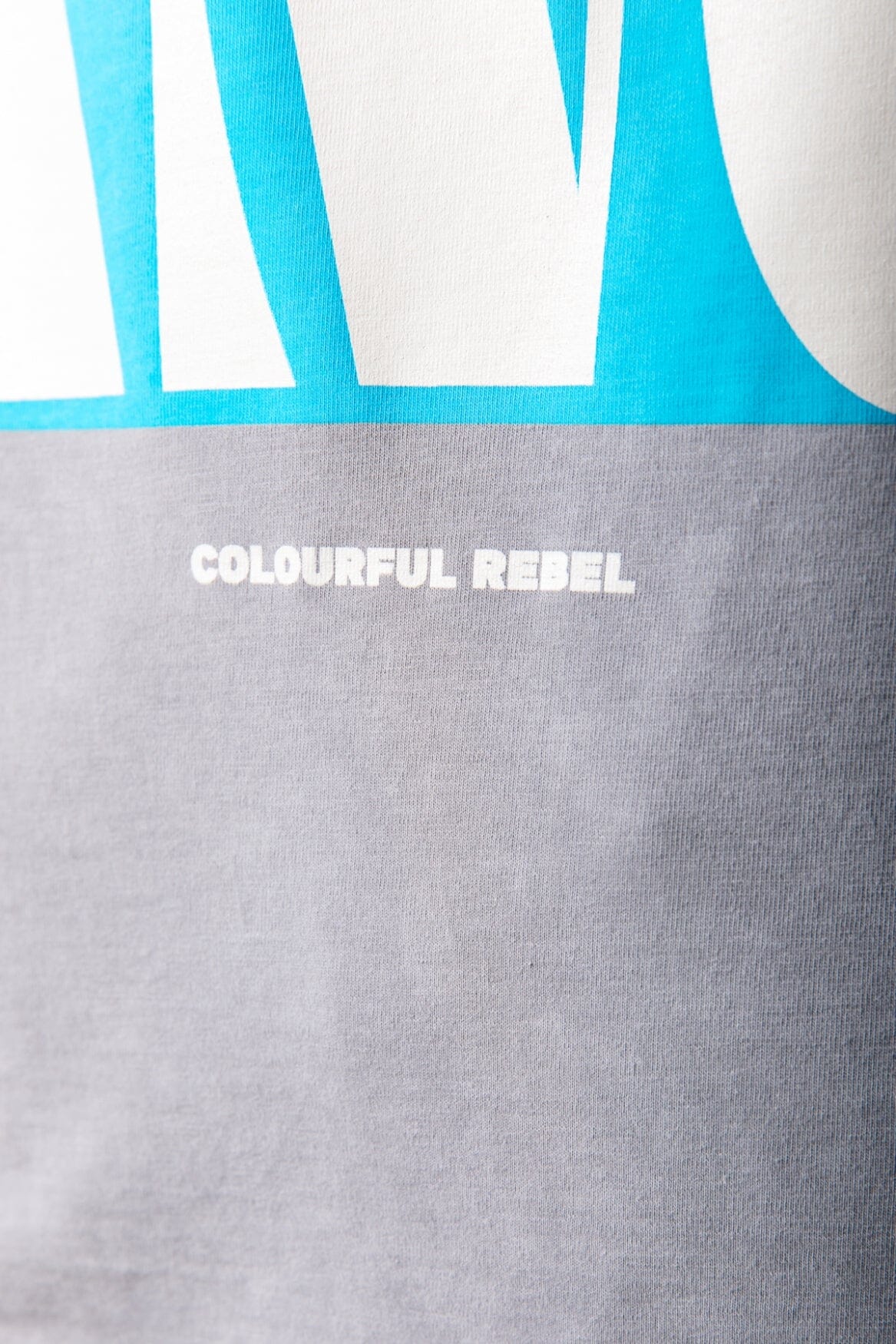 Colourful Rebel Oceano Back Print T-shirt | Light grey 