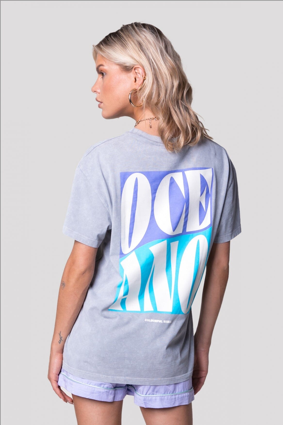 Colourful Rebel Oceano Back Print T-shirt | Light grey 8720867037033