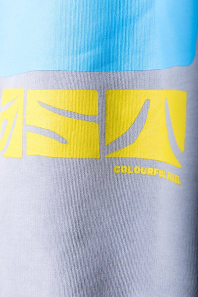 Colourful Rebel Palm Coast Sweat | Light grey 