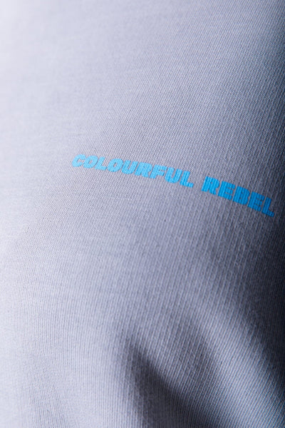 Colourful Rebel Palm Coast Sweat | Light grey 