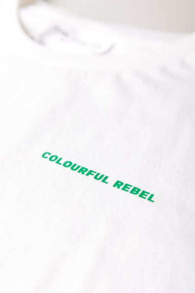 Colourful Rebel Palm Square Boxy Tee | Standard white 