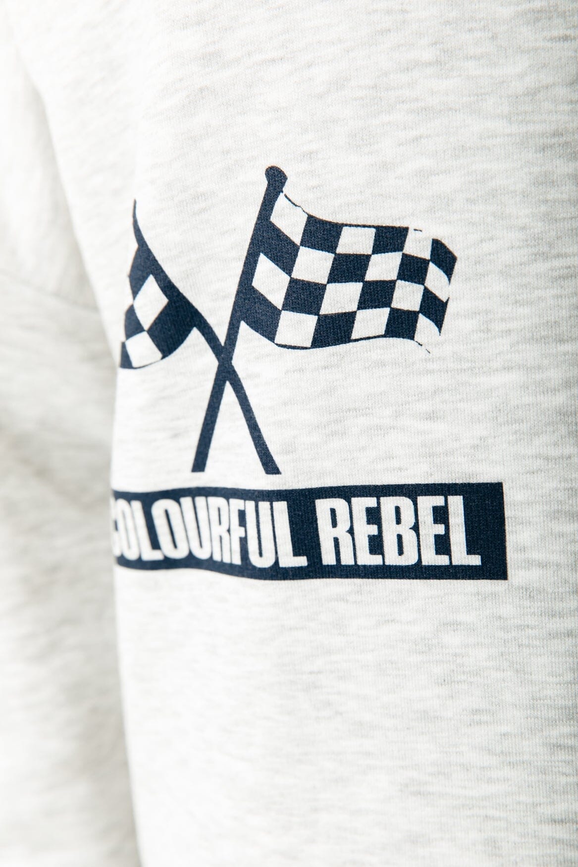 Colourful Rebel Racer Logo Dropped Shoulder Sweat | Light grey 