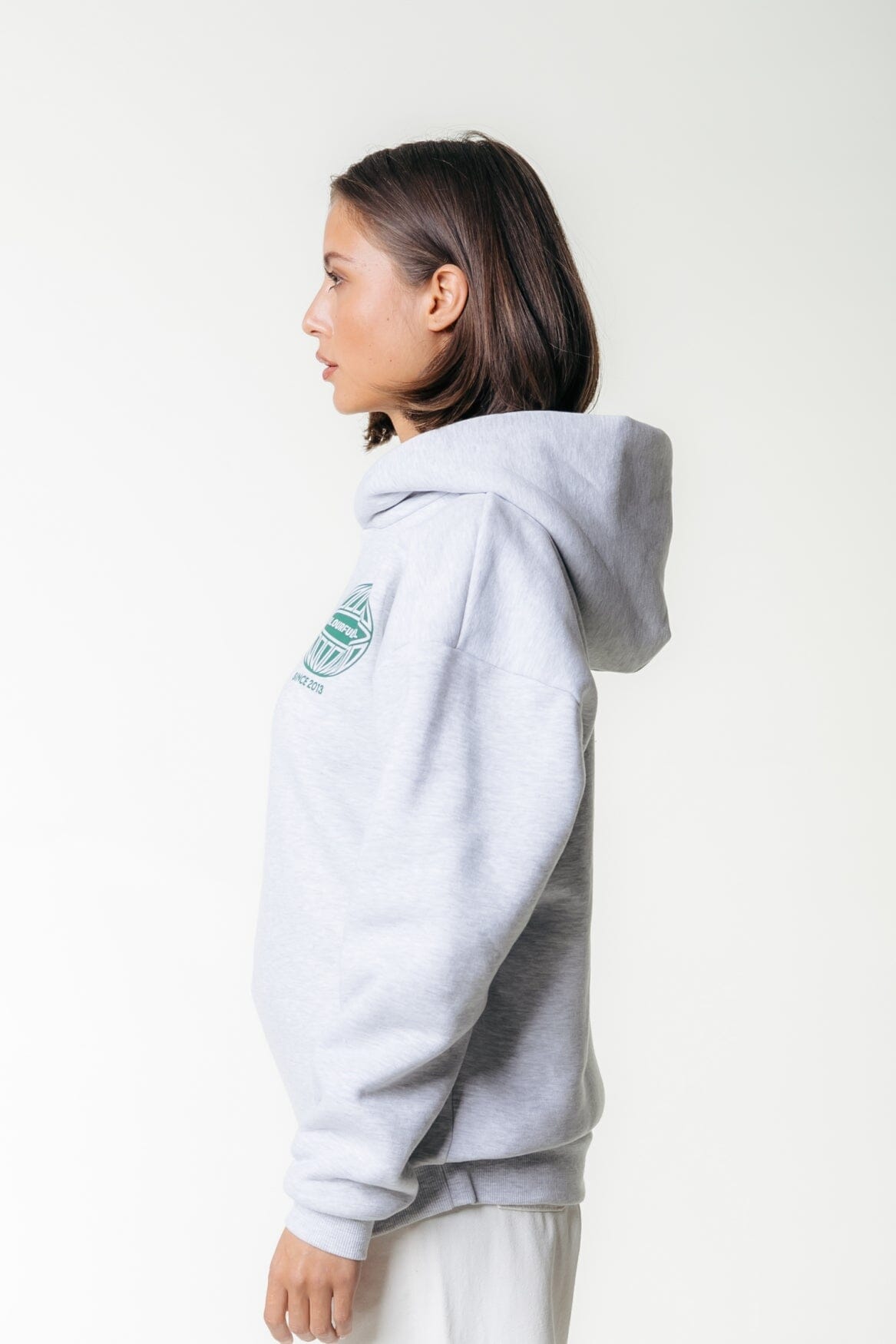 Colourful Rebel Racer Logo Hoodie | Light grey melange 