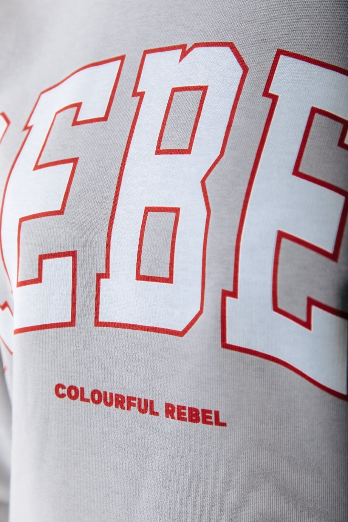 Colourful Rebel Rebel Dropped Shoulder Sweat | Light grey 