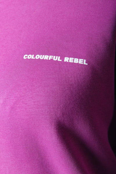 Colourful Rebel Rugby Clean Hoodie | Pink 