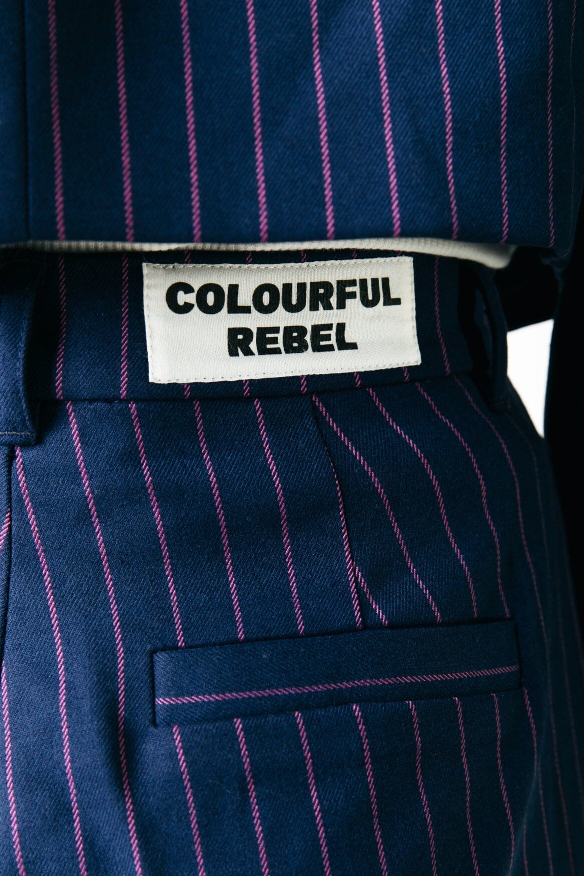 Colourful Rebel Rus Pinstripe Pintuck Straight Pants | Dark blue 