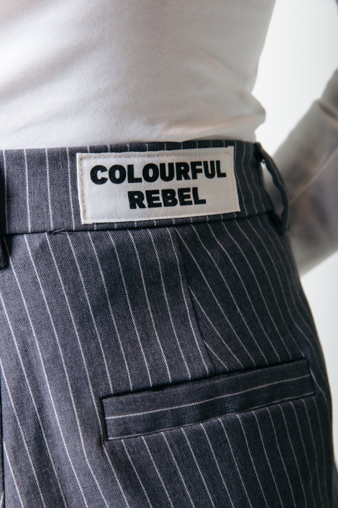 Colourful Rebel Rus Stripe Straight Pants | Dark grey 