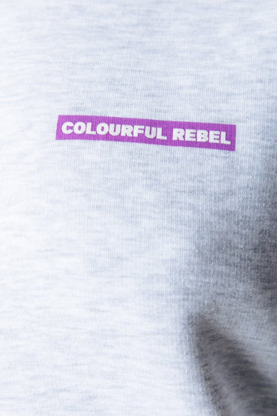 Colourful Rebel Sleeve Logo Clean Hoodie | Light grey melange 