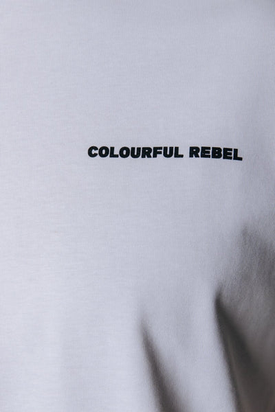 Colourful Rebel Sport Figure Basic Tee | Smoke Grey 