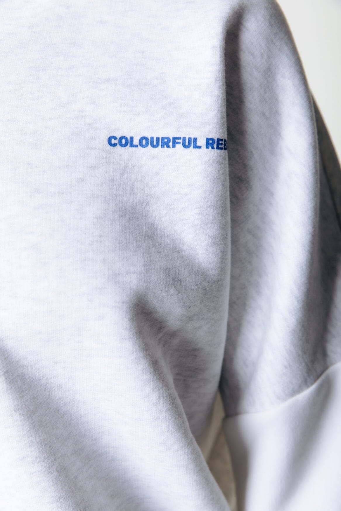 Colourful Rebel State Champ Sweat | Light grey melange 