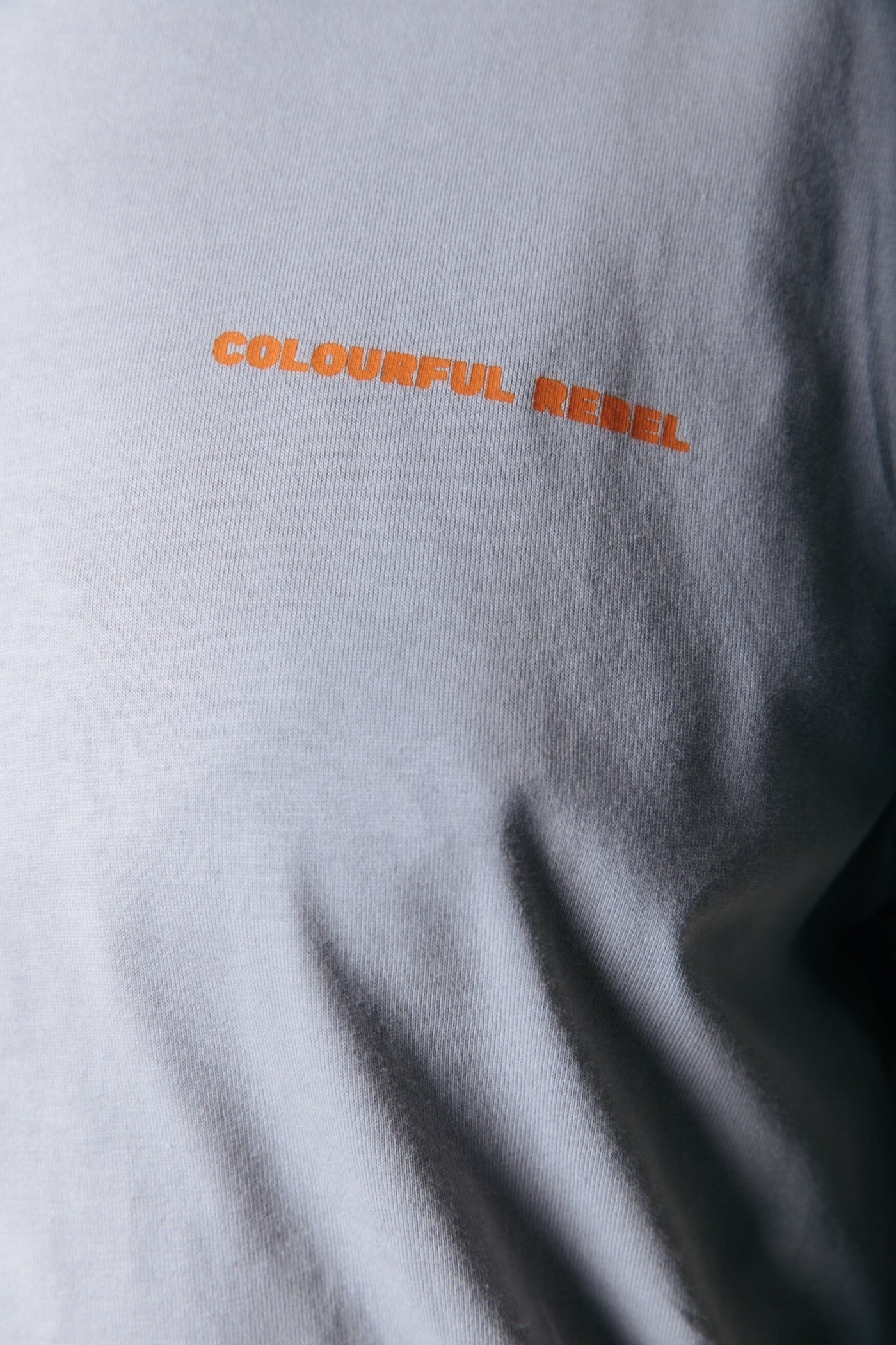 Colourful Rebel Travel Boxy Tee | Light grey 