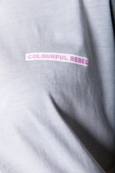 Colourful Rebel Uni Box Logo T-shirt | Light grey 