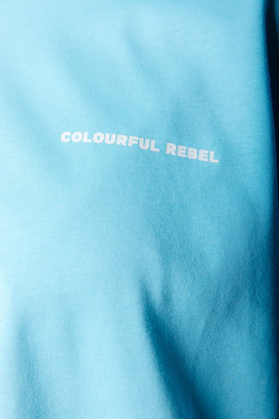 Colourful Rebel Uni Cropped Oversized Tee | Sky Blue 
