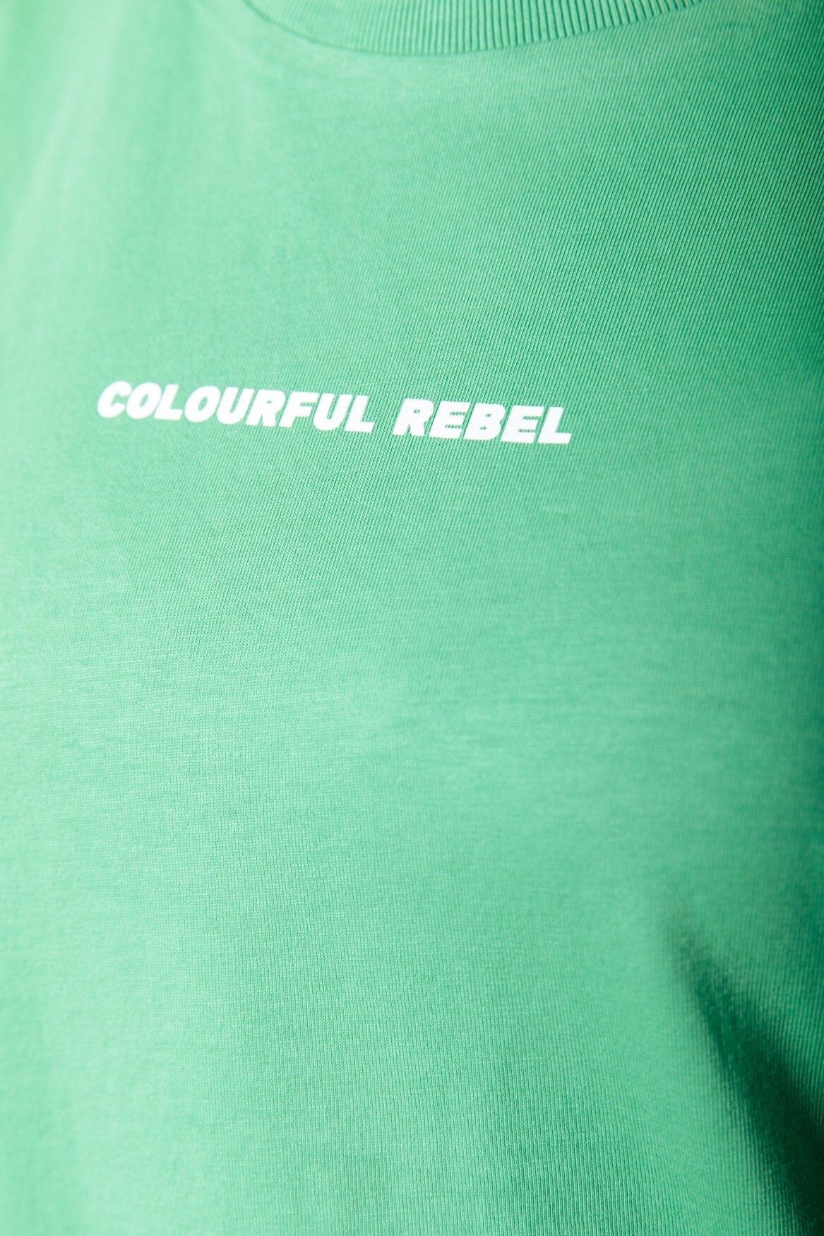 Colourful Rebel Uni Logo Boxy Tee | Bright green 