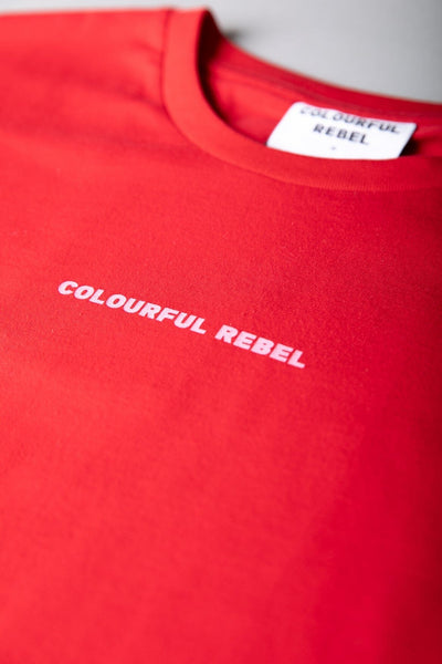 Colourful Rebel Uni Logo Boxy Tee | Fresh pink 