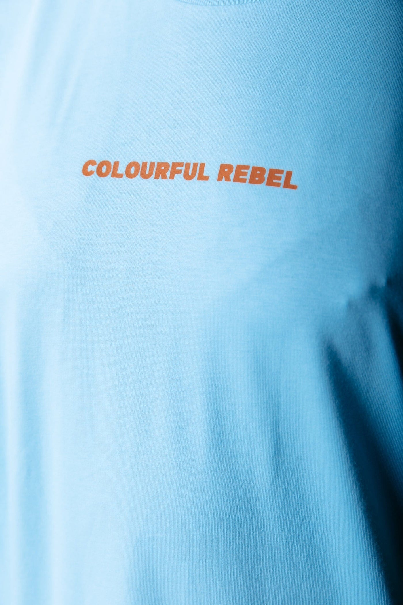 Colourful Rebel Uni Logo Boxy Tee | Light Blue 