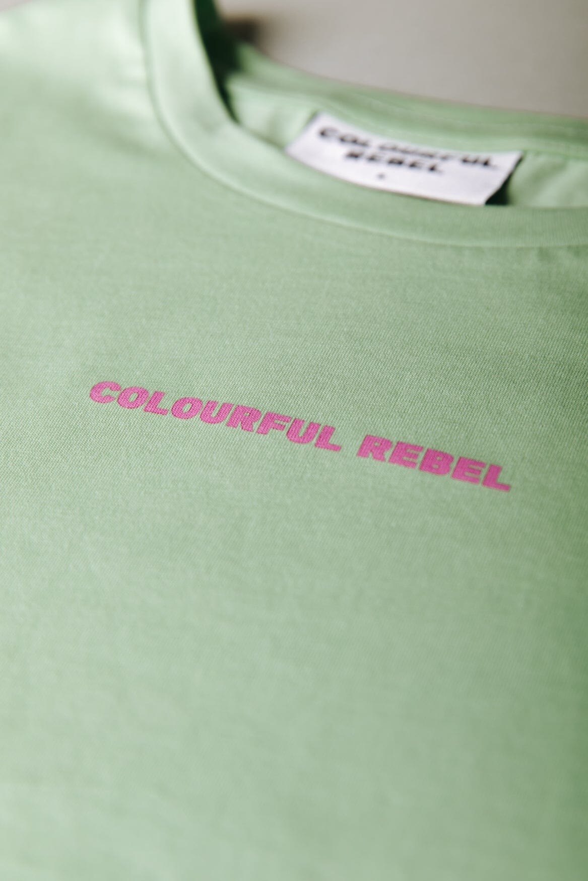 Colourful Rebel Uni Logo Boxy Tee | Light Grass Green 