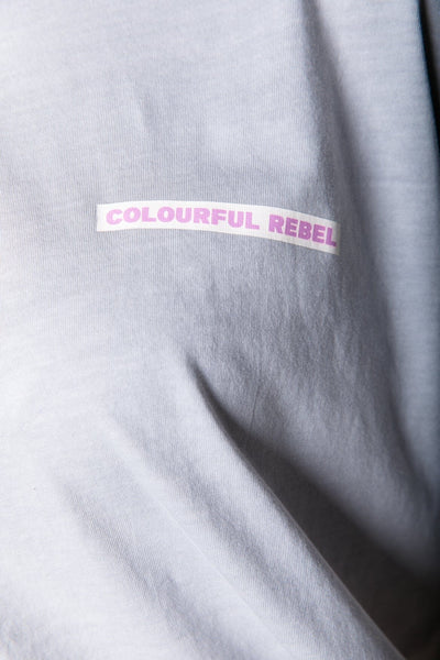 Colourful Rebel Uni Logo Boxy Tee | Light grey 