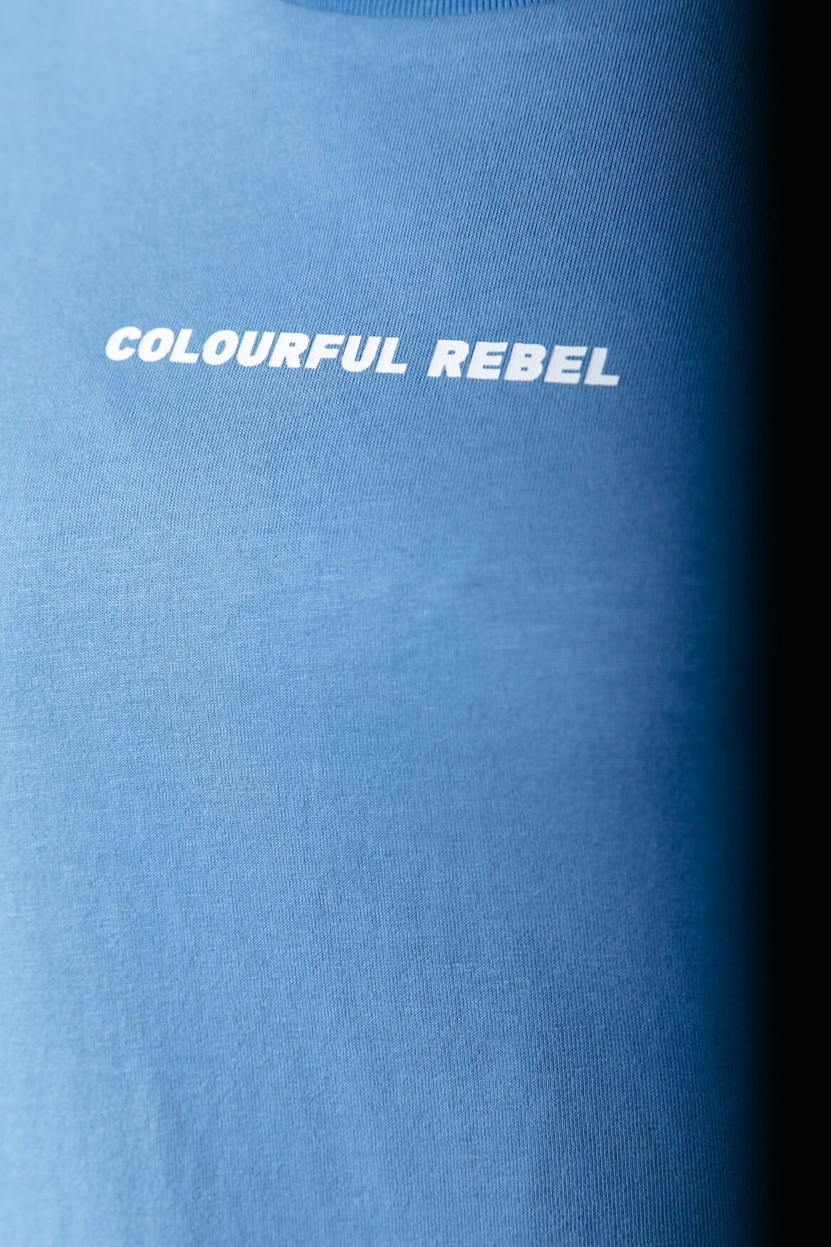 Colourful Rebel Uni Logo Boxy Tee | Light Grey Blue 