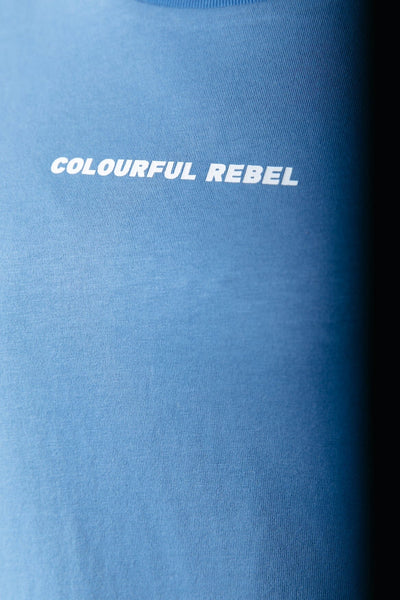 Colourful Rebel Uni Logo Boxy Tee | Light Grey Blue 