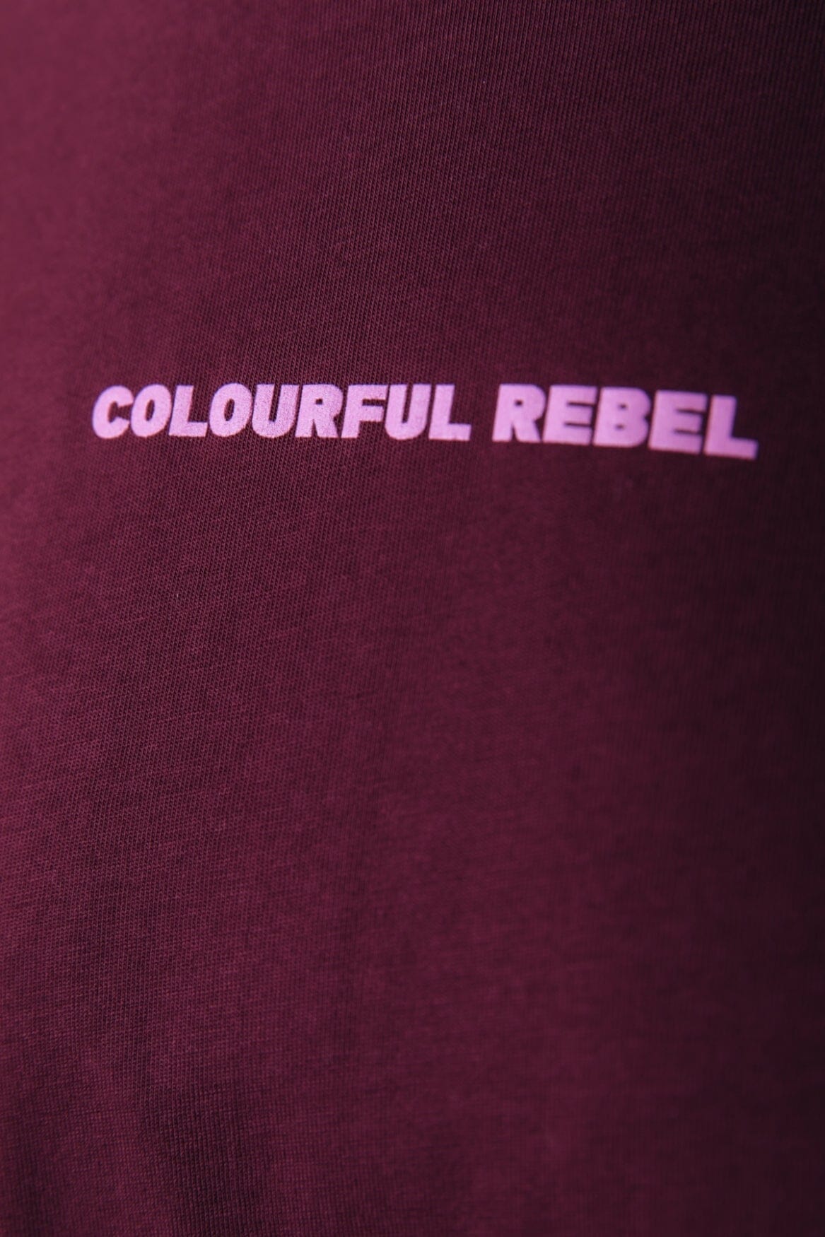 Colourful Rebel Uni Logo Boxy Tee | Port Red 