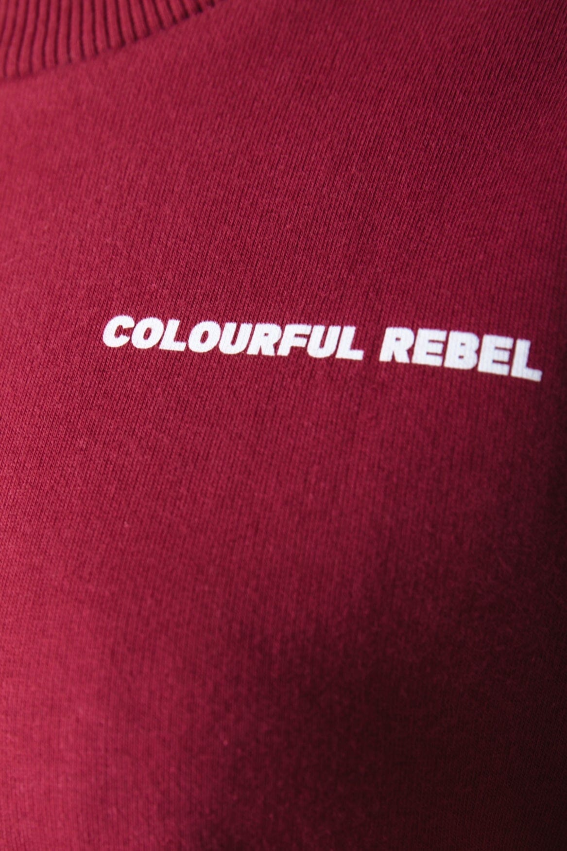 Colourful Rebel Uni Logo Sweat | Bordeaux 