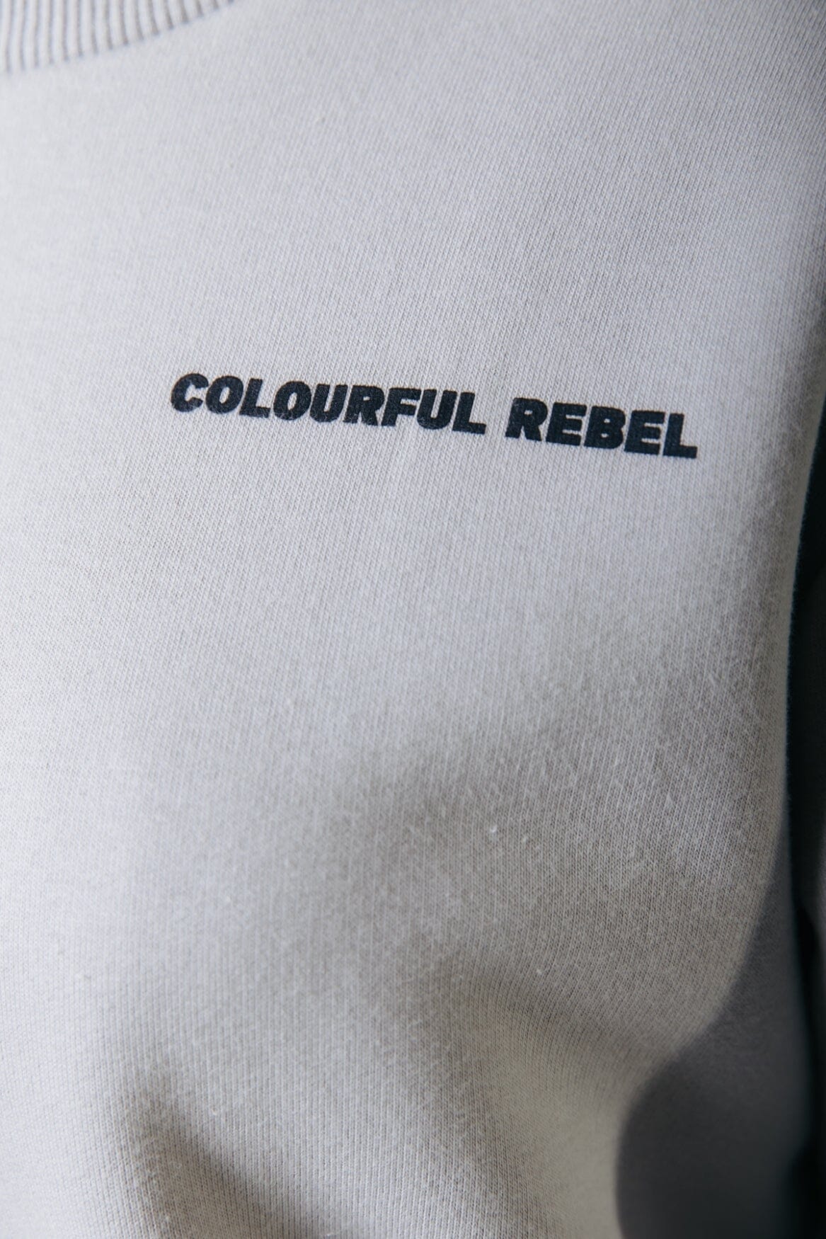 Colourful Rebel Uni Logo Sweat | Light grey 