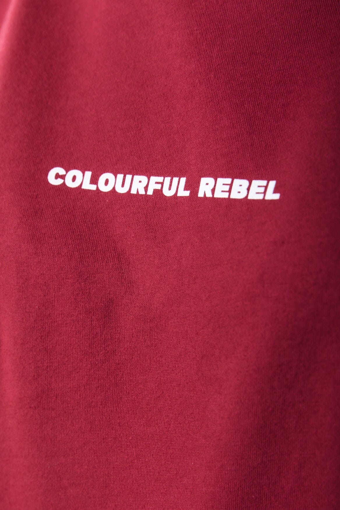 Colourful Rebel Uni Logo Tee | Bordeaux 