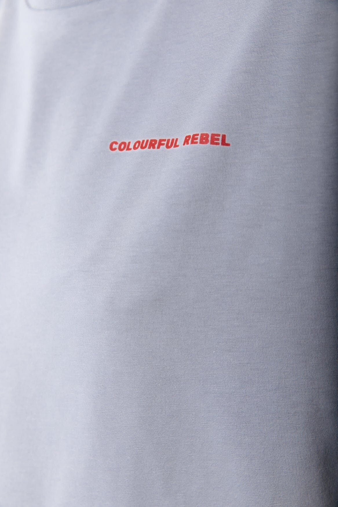 Colourful Rebel World Tour Loosefit Tee | Light grey 