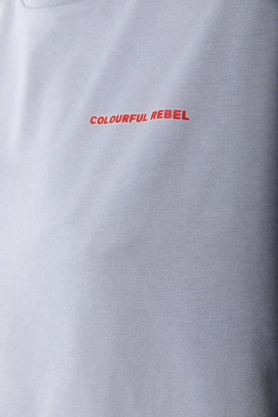 Colourful Rebel World Tour Loosefit Tee | Light grey 