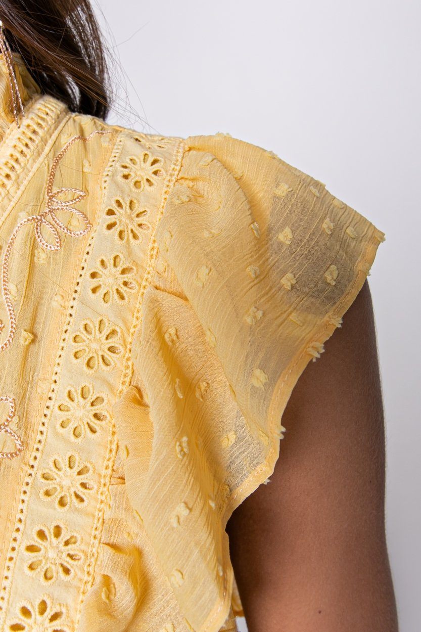 Colourful Rebel Celine Embroidery Mini Dress | Yellow 