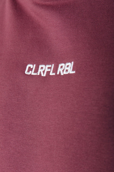 Colourful Rebel CLRFL RBL Hoodie | Burgundy 