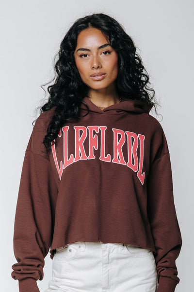 Colourful Rebel Clrfl Rbl patch Clean Cropped Hoodie | Brown 8720603285438