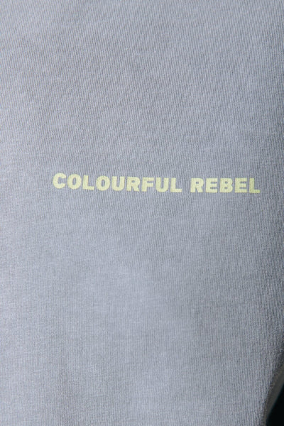 Colourful Rebel Coconut Loosefit Tee | Light grey 