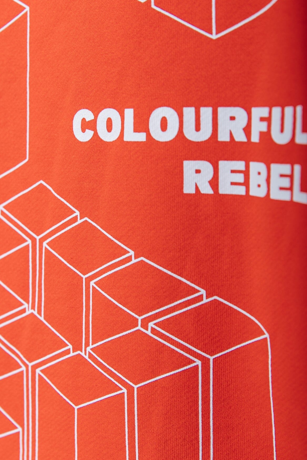 Colourful Rebel Colourful Rebel Hoodie | Burned orange 