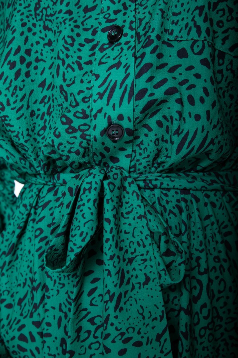 Colourful Rebel Desiree Leopard Shirt Dress | Green 