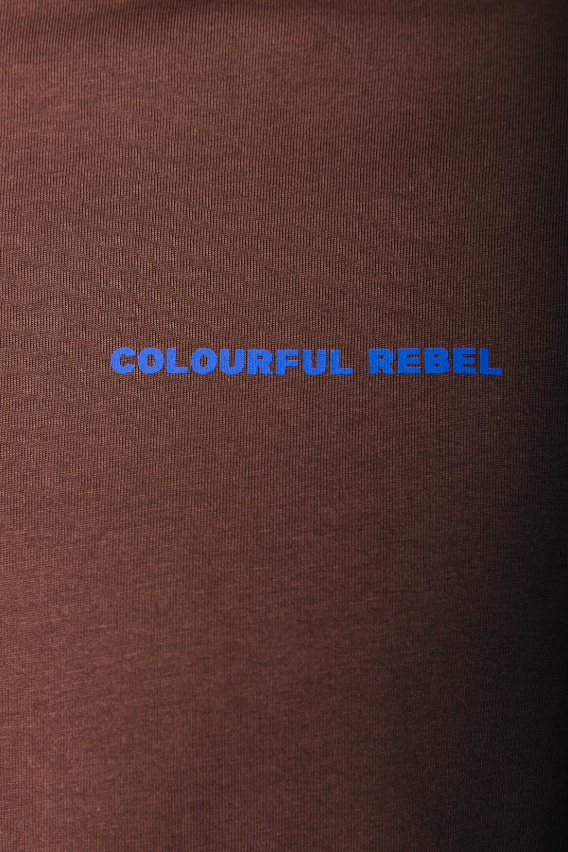 Colourful Rebel Drive Basic Tee | Brown