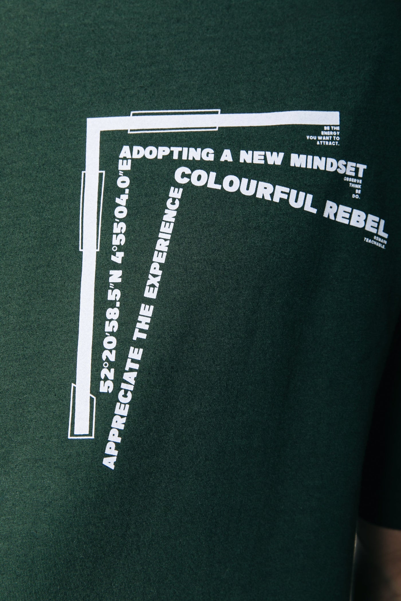Colourful Rebel Experience Basic Tee | Grey army