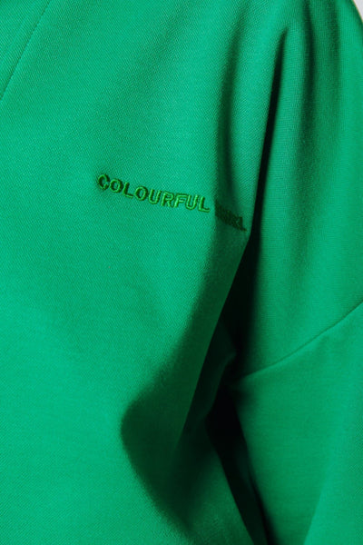 Colourful Rebel Litzy Dropped Shoulder Zipper Sweater | Green