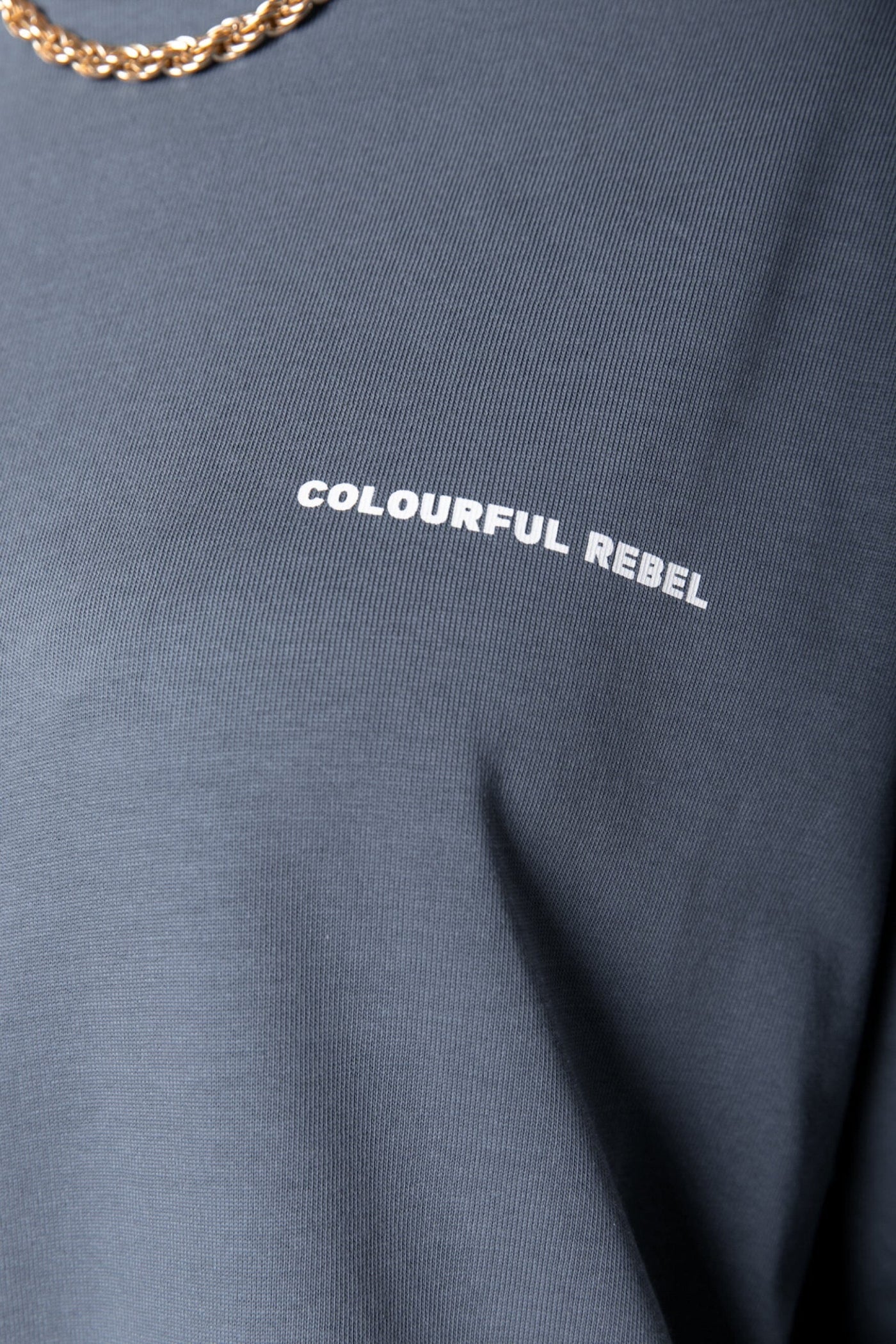 Colourful Rebel Logo Long Sleeve Dress | Dark grey 
