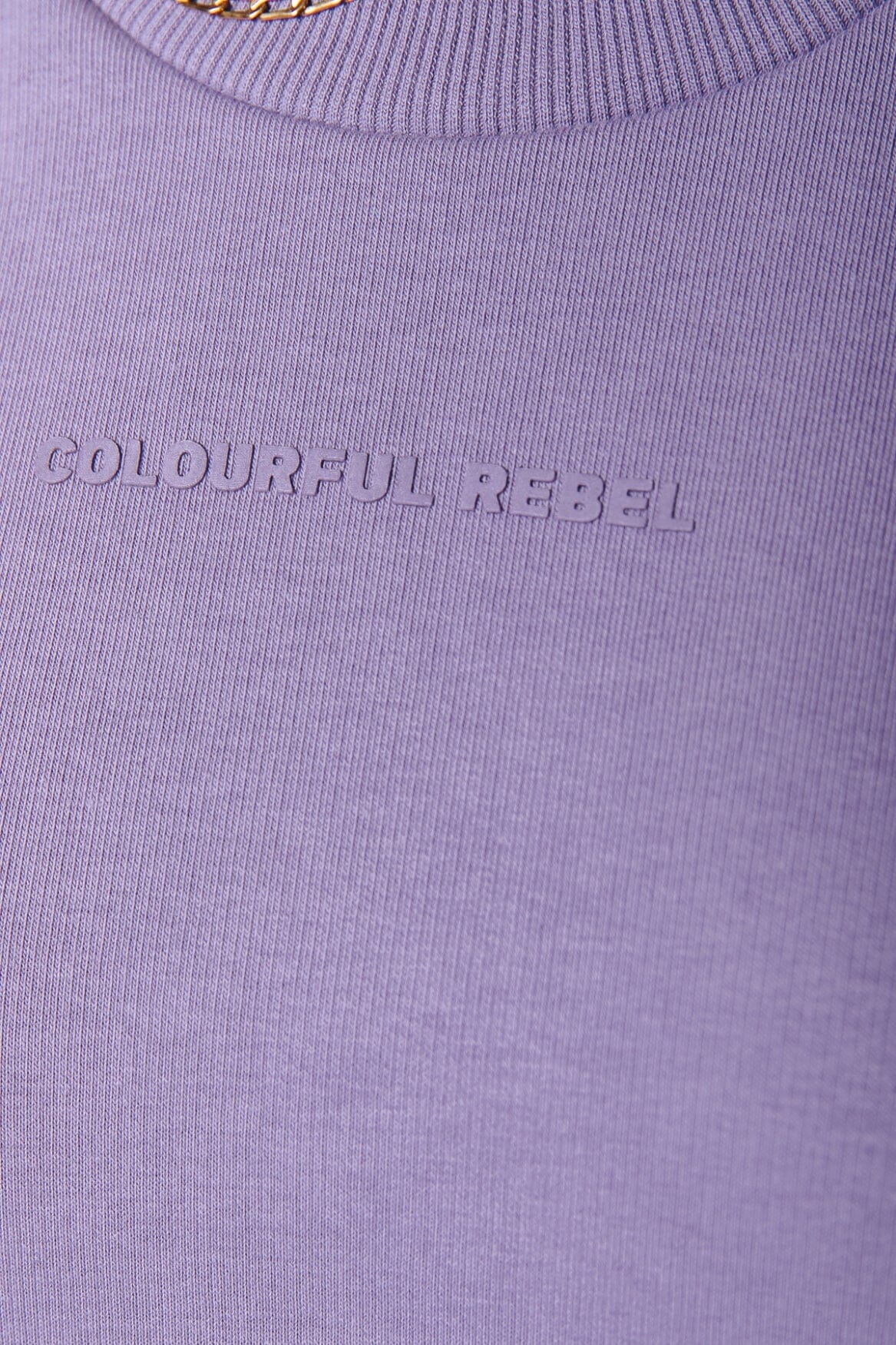 Colourful Rebel Logo Relaxed Sweat | Medium purple 