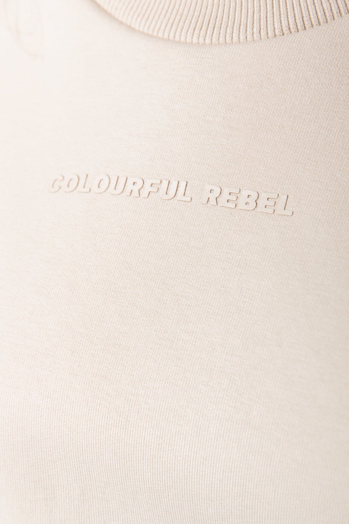 Colourful Rebel Logo Relaxed Sweat | Smoke 