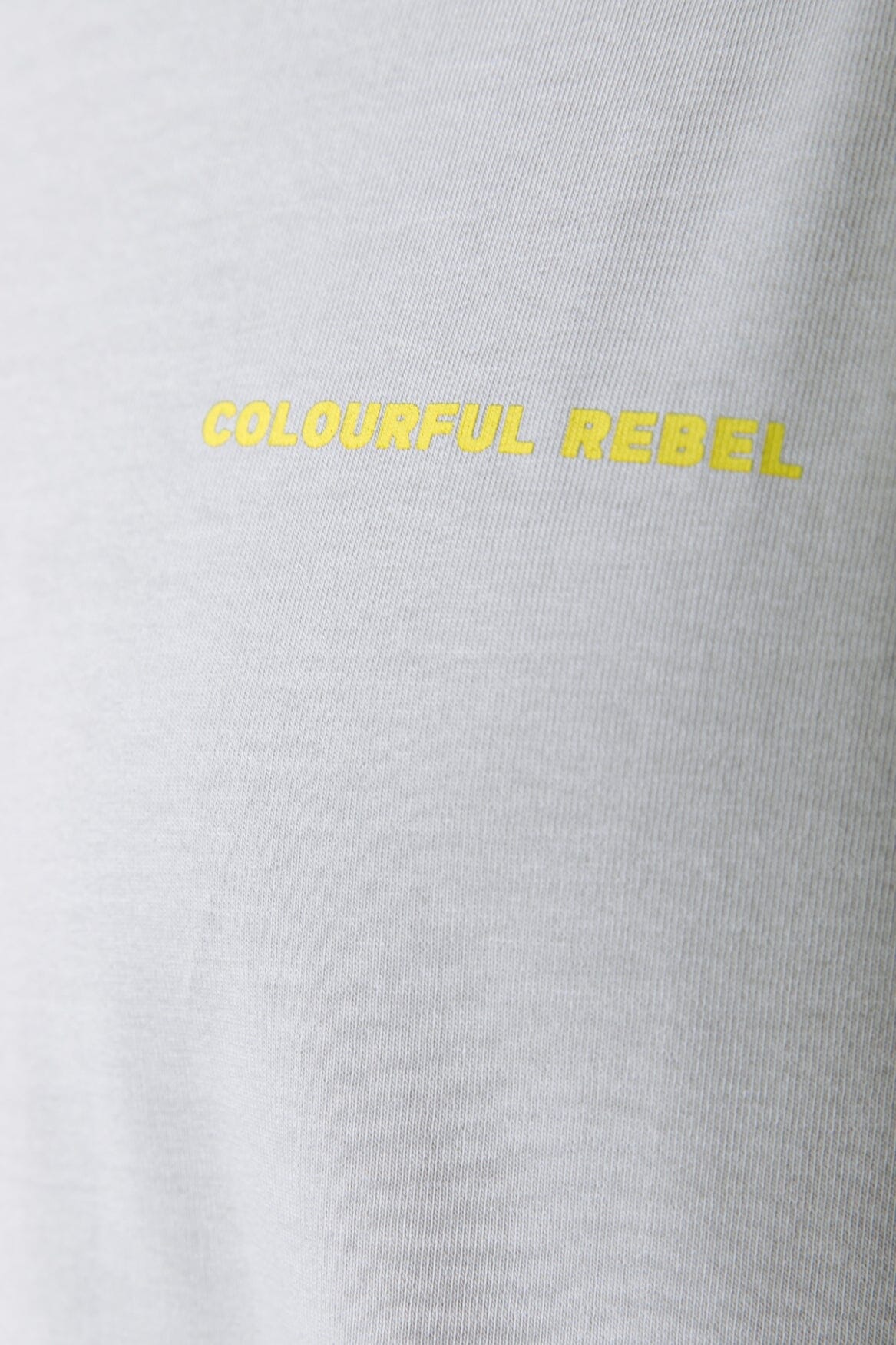 Colourful Rebel Mother Nature Long Sleeve Tee | Light grey